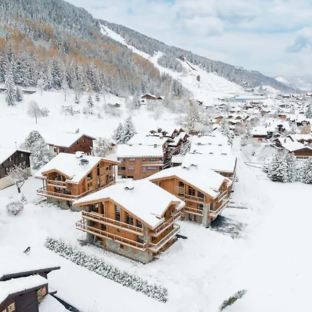 Chalet De Luxe Avec Piscine, Spa Et Services Inclus - Fr-1-568-41